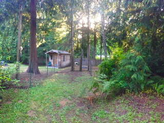 Picture of Point Roberts Parcel Number 415335-021049
